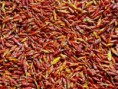 50 G PIMENT PILI-PILI DE MADAGASCAR